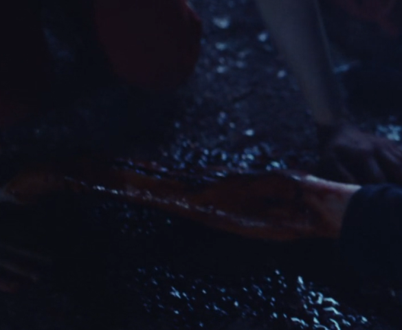 Screenshot 2025-12-22 102800